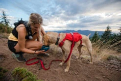 Ruffwear - Switchbak Dog Harness - Red Sumac -Pet dog red ruff