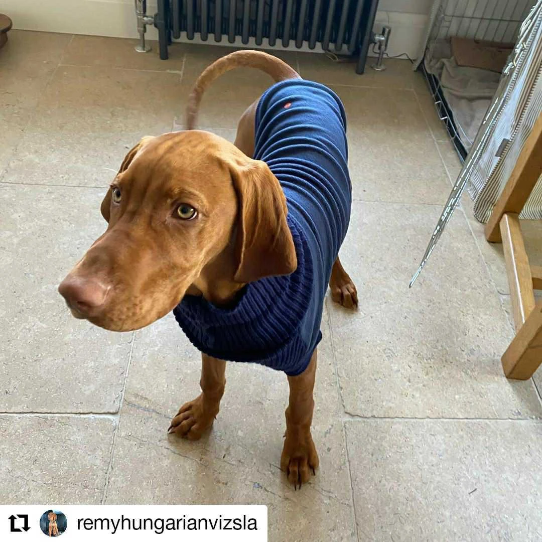 House Of Paws Fleece And Knit Dog Jumper Navy 4 House Of Paws Fleece And Knit Dog Jumper Navy - Image 2