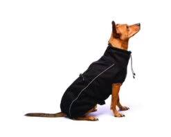 Dog Gone Smart - Olympia Soft Shell Dog Coat - Black