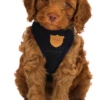 Hugo & Hudson - Navy Checked Tweed Dog Harness -Pet dog screen shot 2019 10 29 at 15.34.03