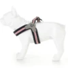 Hugo & Hudson - Red, White & Blue Easy Harness 2 Hugo & Hudson - Red, White & Blue Easy Harness -Pet dog screen shot 2019 11 08 at 12.05.37
