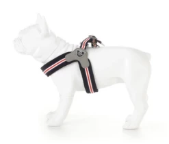 Hugo & Hudson - Red, White & Blue Easy Harness