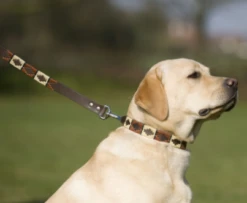 Pioneros Polo Dog Collar - Copper/Beige/Green Stripe -Pet dog screen shot 2019 12 10 at 12.24.36