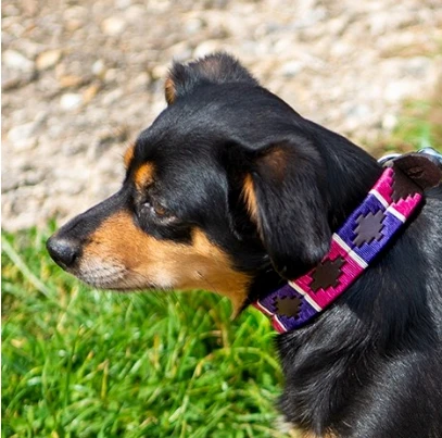 Pioneros Polo Dog Collar - Purple / Berry / White Stripe 4 Pioneros Polo Dog Collar - Purple / Berry / White Stripe - Image 2
