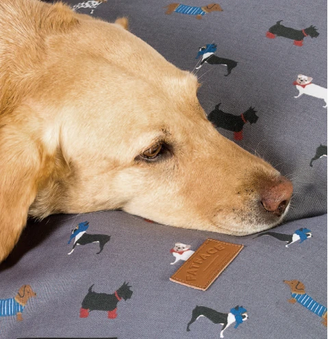 FatFace - Marching Dogs Deluxe Slumber Dog Bed 5 FatFace - Marching Dogs Deluxe Slumber Dog Bed - Image 3