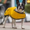 Country & Twee - Yellow Waxed French Bulldog Coat 2 Country & Twee - Yellow Waxed French Bulldog Coat -Pet dog screen shot 2020 02 08 at 13.55.31