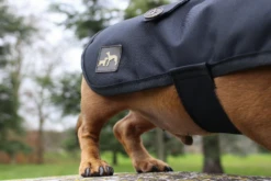 Country & Twee Black Dachshund Coat -Pet dog screen shot 2020 02 11 at 11.21.50