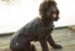 Country & Twee Black Waterproof Dog Coat 8 Country & Twee Black Waterproof Dog Coat -Pet dog screen shot 2020 02 11 at 12.11.43