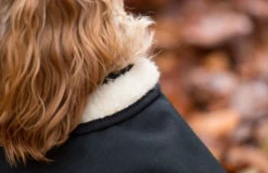 Country & Twee Black Waterproof Dog Coat 9 Country & Twee Black Waterproof Dog Coat -Pet dog screen shot 2020 02 11 at 12.12.01