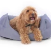 Project Blu - Bengal Eco Dog Bed (Nest) -Pet dog screen shot 2020 07 08 at 11.43.40
