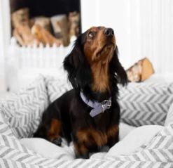 Project Blu - Goa Eco Dog Bed (Nest) -Pet dog screen shot 2020 07 08 at 11.50.29