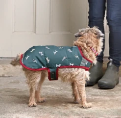 Sophie Allport Walkies Dog Coat 9 Sophie Allport Walkies Dog Coat -Pet dog screenshot 2020 03 06 at 14.06.25