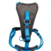 Doodlebone - X-Over Dog Harness - Cyan 1 Doodlebone - X-Over Dog Harness - Cyan -Pet dog screenshot 2020 11 30 at 16.05.47