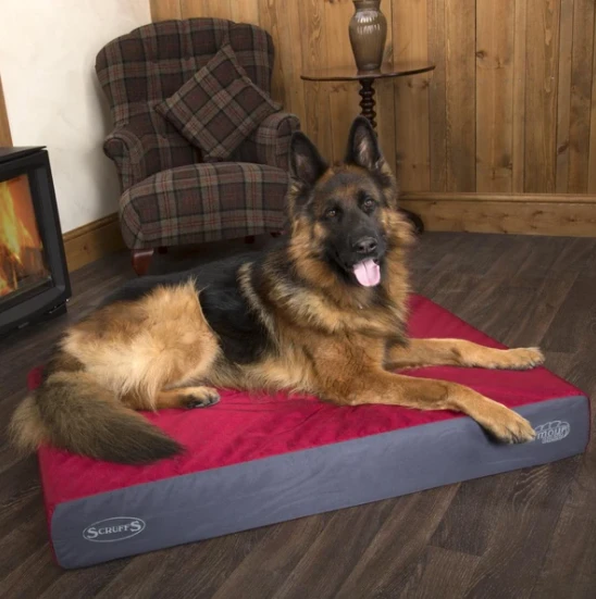 Scruffs - ArmourDillo Heavy-Duty Orthopaedic Dog Bed - Red 4 Scruffs - ArmourDillo Heavy-Duty Orthopaedic Dog Bed - Red - Image 2