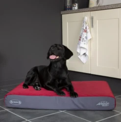 Scruffs - ArmourDillo Heavy-Duty Orthopaedic Dog Bed - Red 9 Scruffs - ArmourDillo Heavy-Duty Orthopaedic Dog Bed - Red -Pet dog screenshot 2021 04 19 at 18.10.22