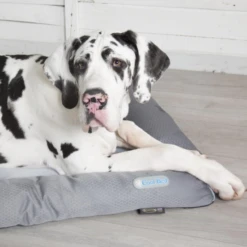 Scruffs - Cooling Dog Bed - Grey -Pet dog screenshot 2021 04 20 at 09.10.57