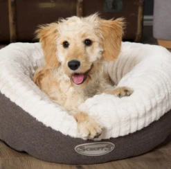 Scruffs - Ellen Donut Dog Bed - Grey -Pet dog screenshot 2021 04 20 at 12.45.35