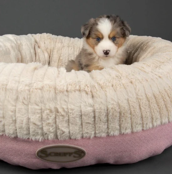 Scruffs - Ellen Donut Dog Bed - Pink 5 Scruffs - Ellen Donut Dog Bed - Pink - Image 3