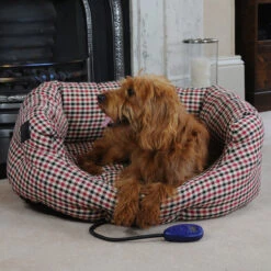 Hot Dogs Heated Cushion Dog Bed - Sewerby -Pet dog sewerby medium