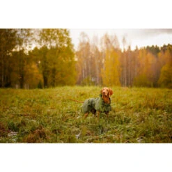 RUKKA - Sky Raincoat For Dogs 15 RUKKA - Sky Raincoat For Dogs -Pet dog sky raincoat dark olive2