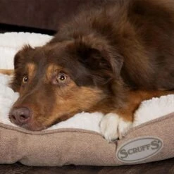 Scruffs - Ellen Dog Mattress Bed - Tan -Pet dog tan ellen mattress 1 grande 7cb7d21f cb5e 405f 9206 d28d31b6a788