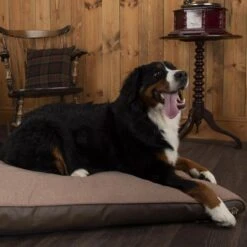 Scruffs - Hilton Memory Foam Orthopaedic Dog Mattress - Tan -Pet dog tan hilton 2 grande 2922b2cf 91af 4fe8 93b9 41392784346c