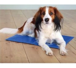 Rosewood - Chillax Cooling Dog Mat -Pet dog trixie dog cooling mat size small 40cm x 30 cm 3057 p