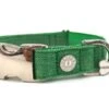 Hugo & Hudson - Green Tweed Dog Collar -Pet dog tweed collar20 2048x 15c57567 1831 42da bb59 4019844fd7cf