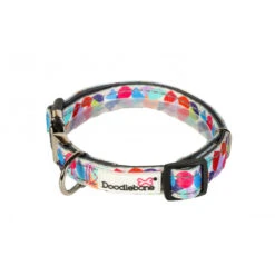 Doodblebone Padded Dog Collar -Pet dog wURn7TVJby8yk26x5wFbEa3BmwJWaVXhQg3L4mpu