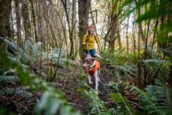 Ruffwear - Overcoat Fuse™ Jacket Canyonlands Orange -Pet dog web 0515 overcoat fuse canyonlands orange hiking 09