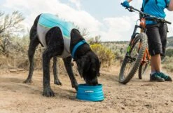 Ruffwear - Jet Stream™ Dog Cooling Vest - Blue Lagoon -Pet dog web 0545 jet stream blue lagoon badlands mountain biking 04
