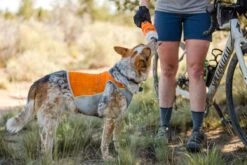 Ruffwear - Jet Stream™ Dog Cooling Vest - Salamander Orange 11 Ruffwear - Jet Stream™ Dog Cooling Vest - Salamander Orange -Pet dog web 0545 jet stream salamander orange horse butte biking 49