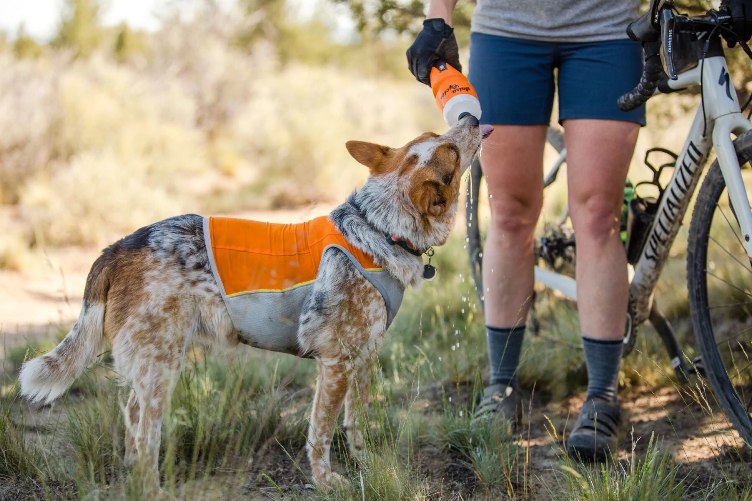 Ruffwear - Jet Stream™ Dog Cooling Vest - Salamander Orange 6 Ruffwear - Jet Stream™ Dog Cooling Vest - Salamander Orange - Image 4