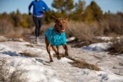 Ruffwear - Climate Changer Dog Fleece Jacket - Glacier 11 Ruffwear - Climate Changer Dog Fleece Jacket - Glacier -Pet dog web 05503 climate changer glacier trail running 15 640x 8afc98ff 5459 4d08 bd32 6a9b4200b60e