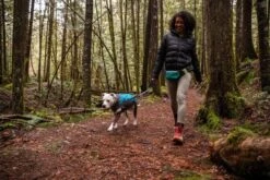 Ruffwear - Climate Changer Dog Pullover Fleece - Glacier -Pet dog web 0555 cimate changer pullover glacier hiking 25 640x db61183a 8647 435a 9050 04ae49eeec95