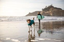 Ruffwear - Fernie Fleece Jacket Tumalo Teal -Pet dog web 05901 fernie tumalo teal surfing 01 640x 2540afa3 f084 439a bafd 735d354f59ca