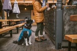 Ruffwear - Stumptown Jacket - Metolius Blue -Pet dog web 0595 stumptown metolius blue winter town 05 1 640x d1f690a5 ed44 49f4 8348 9b7eb7e359a0