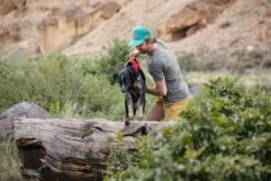 Ruffwear - Web Master Dog Harness - Red -Pet dog web 30102 web master harness lift assist 01