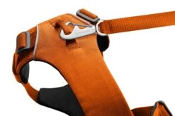 Ruffwear Front Range™ Harness - Campfire Orange -Pet dog web 30502 front range harness campfire orange chest attachment connection