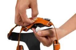 Ruffwear Front Range™ Harness - Campfire Orange -Pet dog web 30502 front range harness campfire orange id tag