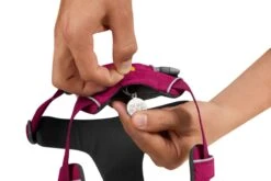 Ruffwear Front Range™ Harness - Hibiscus Pink 11 Ruffwear Front Range™ Harness - Hibiscus Pink -Pet dog web 30502 front range harness hibiscus pink id tag
