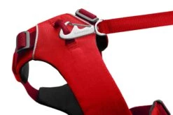 Ruffwear Front Range™ Harness - Red Sumac 10 Ruffwear Front Range™ Harness - Red Sumac -Pet dog web 30502 front range harness red sumac chest attachment connection