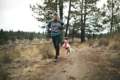 Ruffwear - Hi & Light Harness - Sockeye Red 9 Ruffwear - Hi & Light Harness - Sockeye Red -Pet dog web 3082 hi light harness sockeye red trail running 01 640x 8212f5c6 fd0f 41ab b5cb 6c34a68cdf9a