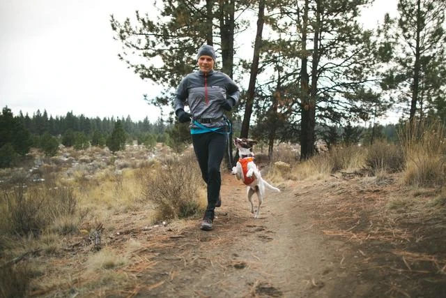Ruffwear - Hi & Light Harness - Sockeye Red 6 Ruffwear - Hi & Light Harness - Sockeye Red - Image 4