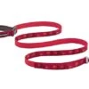 Ruffwear Flat Out Adjustable Dog Lead - Alpenglow Burst 2 Ruffwear Flat Out Adjustable Dog Lead - Alpenglow Burst -Pet dog web 40304 flat out leash alpenglow burst 640x e1f6c279 0862 479d a7f1 4cd81b31738c