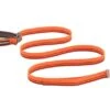 Ruffwear Flat Out Adjustable Dog Lead - Autumn Horizon -Pet dog web 40304 flat out leash autumn horizon 640x d5d7b32c 0d87 48f4 83d5 99b1c2d06492