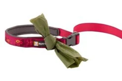 Ruffwear Flat Out Adjustable Dog Lead - Alpenglow Burst -Pet dog web 40304 flaw burst accessory loop 640x f400dbc9 8e6e 43a4 9832 d29851d11b6a