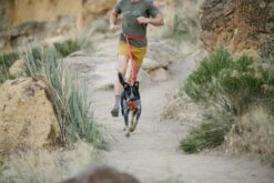 Ruffwear - Roamer™ Dog Lead - Red Currant -Pet dog web 40354 roamer leash red currant trail running 01