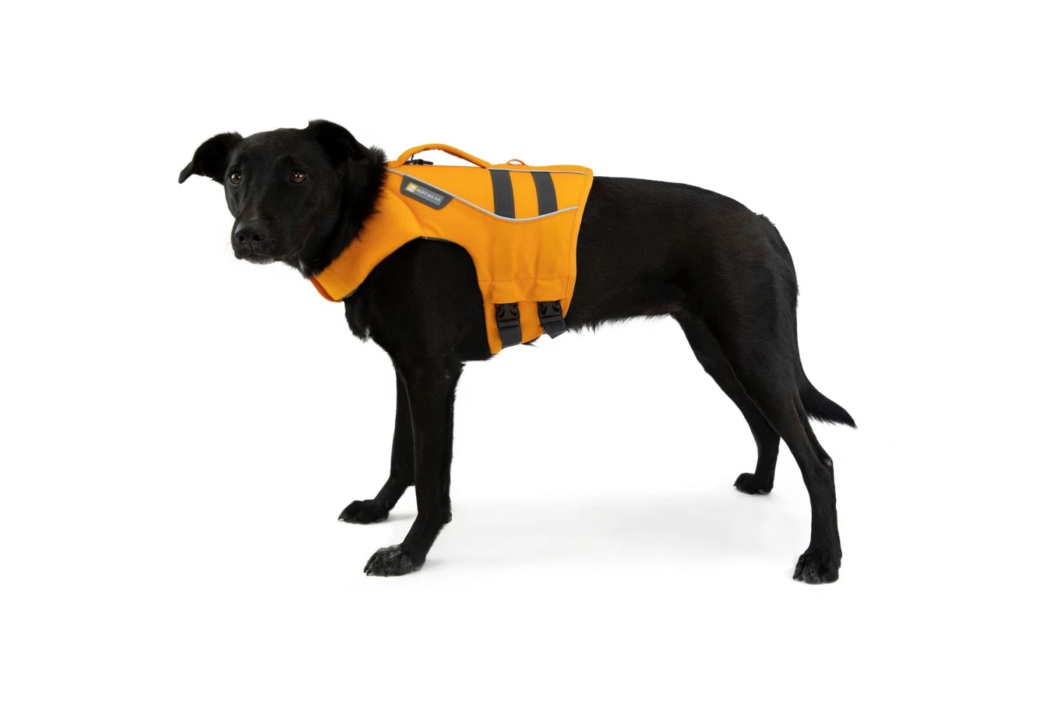 Ruffwear - Float Coat™ - Dog Life Jacket - Wave Orange 10 Ruffwear - Float Coat™ - Dog Life Jacket - Wave Orange - Image 8