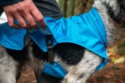 Ruffwear - Sun Shower™ Rain Jacket - Blue Dusk 15 Ruffwear - Sun Shower™ Rain Jacket - Blue Dusk -Pet dog web andybodiesuttlelake web 7